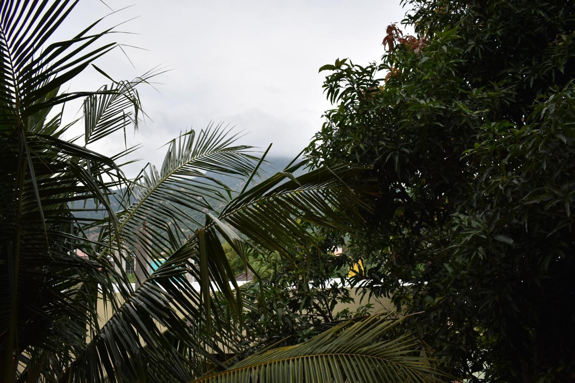 Rainbow Guest House Tiruvannamalai Bagian luar foto