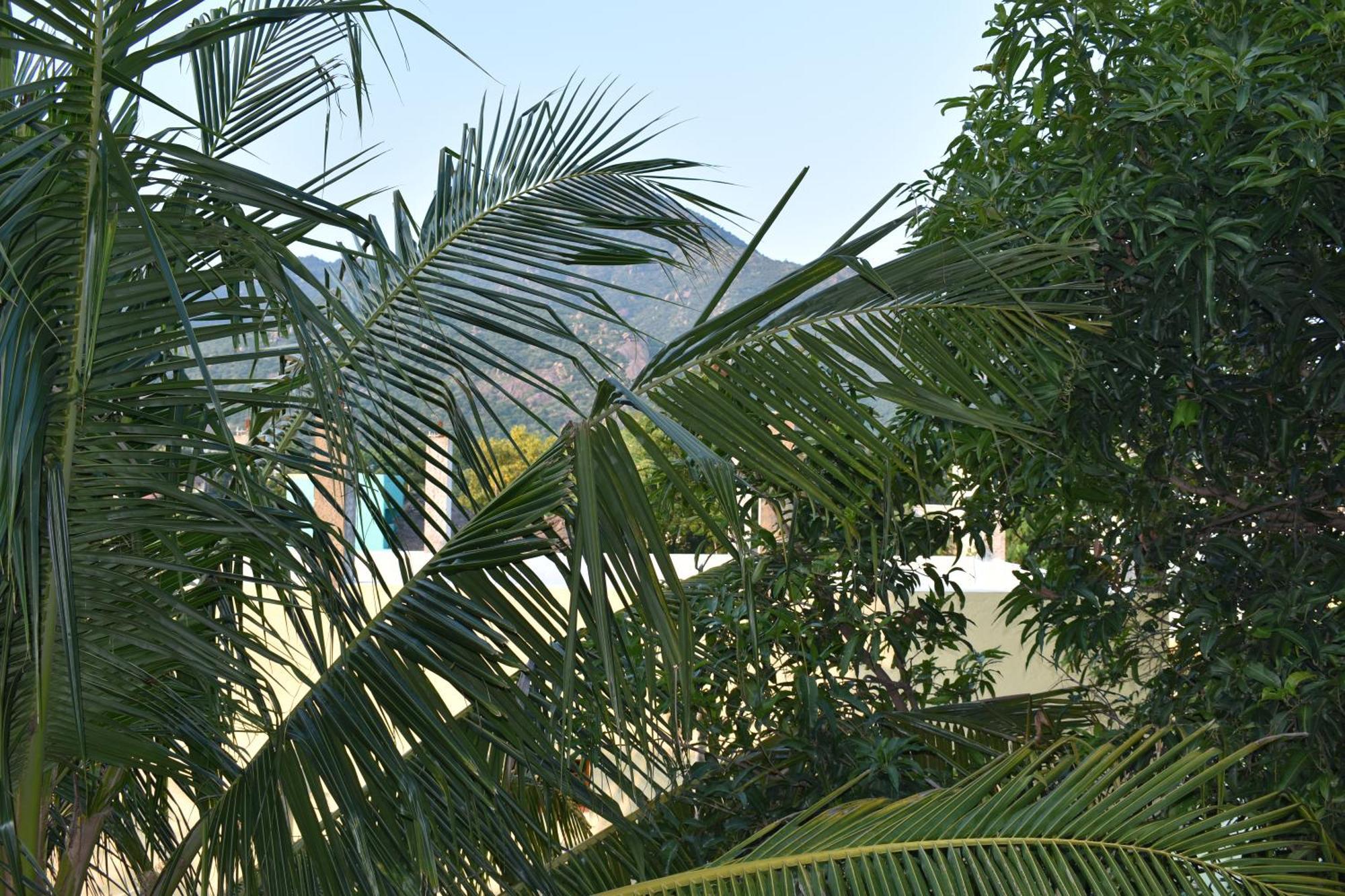 Rainbow Guest House Tiruvannamalai Bagian luar foto